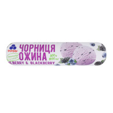 Морозиво Чорниця-ожина Рудь м/у 500г