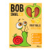 Цукерки фруктові натуральні Яблуко-груша Roll Bob Snail к/у 60г Цукерки фруктові натуральні Яблуко-груша Roll Bob Snail к/у 60г