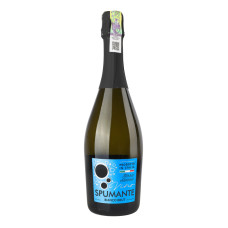 Вино ігристе 0.75л 11% біле брют Spumante Terra Sacra пл
