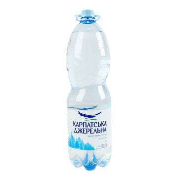 Вода мінеральна негазована природна столова гідрокарбонатна кальцієва Карпатська джерельна п/пл 2л