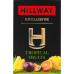 Чай чорний байховий листовий Tropical fruits Exclusive Hillway к/у 100г