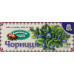 Чай з плодів, ягід і трав Чорниця Карпатський чай к/у 20х2г