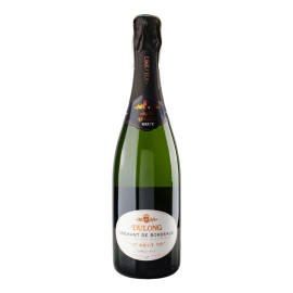 Вино ігристе 750мл 11.5% біле брют Brut Crémant De Bordeaux Dulong пл